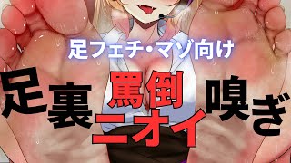 【足ASMR / foot fetish 】足裏罵倒ニオイ嗅ぎ【M男向け / 新人Vtuber】