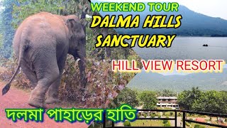 Weekend Trip to Dalma Wildlife Sanctuary | Land of Elephants | Dimna Lake | Hill View Resort