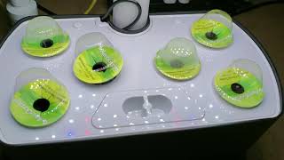 Aerogarden Initial Setup