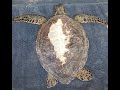 Let's Talk Turtles Live! Episode 48: Meet Our New Patient Spooky