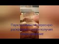 обзор на коллекция насекомых в эпоксидной смоле часть 2