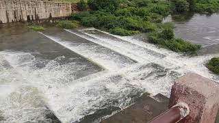 Parnapalli Dam gates opened