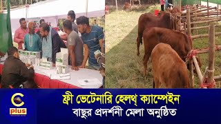 পটিয়ায় ফ্রি ভেটেরিনারি হেলথ্ ক্যাম্পেইন ও বাছুর প্রদর্শনী মেলা অনুষ্ঠিত | Cplus