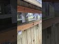 Chicken coop window ideas! #hardwarecloth #chickencoop #backyardchickens #hens #tipsandtricks