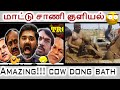 BJP | மூட நம்பிக்கை | சாணி சங்கி | NORTH INDIANS | maaridhass ANTI sangi boys