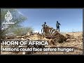 WFP: 20 million risk starvation as Horn of Africa drought worsens