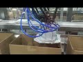 robotic case packer for powder bag up to 2kg bag by delta spider robot from atomrobot