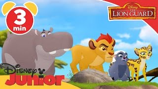 The Lion Guard | Paintings and Predictions | Disney Junior UK