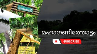 MAHAGENI THOTTAM ECOTOURISM | ILLITHODE|MULAMKUZHY| Ernakulam tourist places#travel#nature#trending