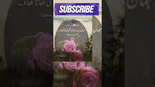 مہمان کے ساتھ کھانا کھانا #shortfeed #shortsfeed #shorts #shortsvideo #viral #short #mybloopers