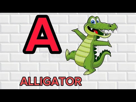 A TO Z SONG || A FOR ALLIGATOR , B FOR BEAR, ABC ALPHABET SONG FOR ...