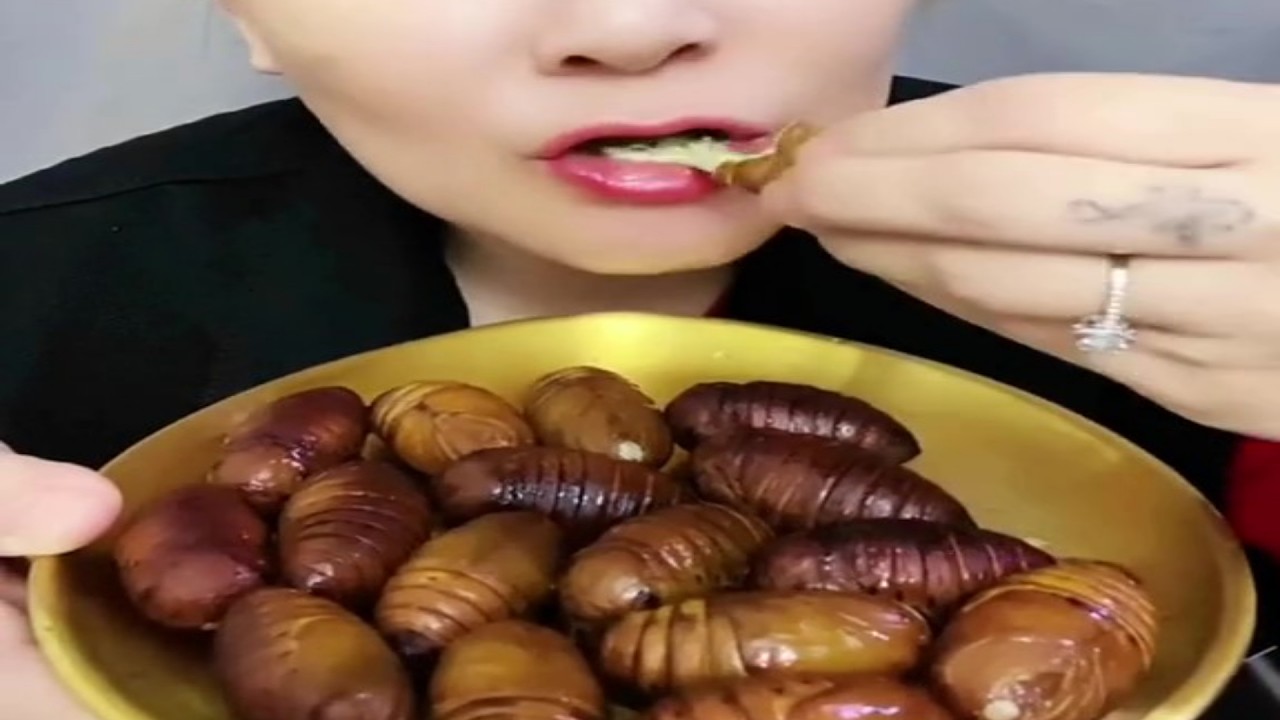 Tiktok Mukbangs Are Still Crazy Youtube