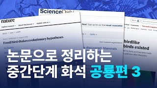 논문으로 정리하는 중간단계  화석 공룡 3편 #북툰중간단계화석