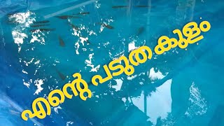 Fish farming.എന്റെ പടുത കുളത്തിലെ തിലോപ്പി മത്സ്യങ്ങൾ