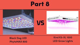 Black Dog LED PhytoMAX 800 vs. Kind K5-XL1000 LED Grow Lights - Part 8