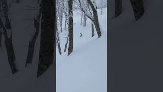 最高の仲間と最高の雪！楽しいしかない！ #japow #nozawaonsen #nagano #japan #snowboarding #snowboard #長野 #野沢温泉 @iQUA