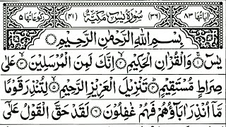 Surah Yaseen Surah Rahman || Best Qur'an Recitation Surah Mulk || Surah Yasin full Quran Tilawat 317