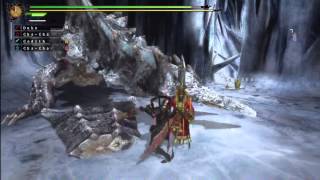 MH3U HR5: Echo Location (Glacial Agnaktor)