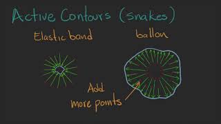 v22 - Active Contours - Week 8: Model Fitting