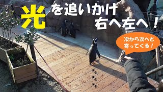 光を追いかけ、右へ左へ！・上越市水族館うみがたり撮り置き