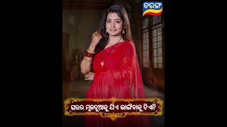 Badabohu | New Mega Serial | 5th Aug 2024 Mon-Sat @09.00PM | Tarang TV