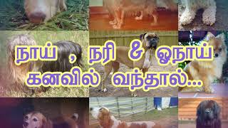 Dog, Wolf and Fox in Dreams // நாய், ஓநாய் மற்றும் நரி கனவில் வருகிறதா!?