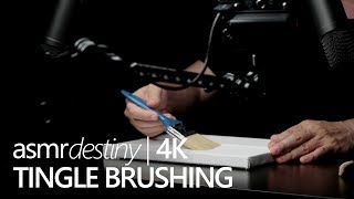 ASMR | Art of Tingle Brushing (4K)