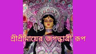 শ্রীশ্রীমায়ের জগদ্ধাত্রী রূপ | Sarada Maa | শ্রী  শ্রী মা সারদার  রূপ