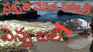 Nellore penna // నెల్లూరు పెన్నా నది వరద నీరు // Nagarjuna vlogs