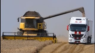 New Holland i Iveco. Logistyka zbioru zbóż - więcej w miesięczniku RPT 9/2015