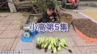 小高走起去玉米地辛勤劳作的摘玉米后成功售卖获成就感，开心回家#越南