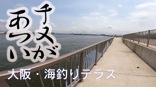 【釣り場動画#97】大阪「海釣りテラス」は釣りもキャンプもバーベキューも駐車場も無料で楽しめる都心部でも最高峰のアウトドアスポット