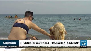Water quality concerns at Toronto beaches