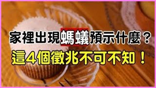 家裡突然出現很多螞蟻預示什麼？4個徵兆不可不知，切莫大意了