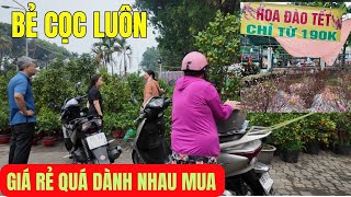 Giá rẻ quá dành nhau mua tại chợ hoa lớn nhất Sài Gòn - Toàn loại độc lạ.