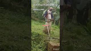 8 മാസത്തിന് ശേഷം,,,,grass cutting Kannur, വിളിക്കണം കേട്ടോ,9995611440