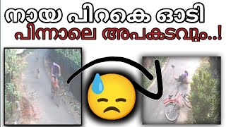 തെരുവ് നായയുടെ ഇടയിൽ നിന്നും രക്ഷപ്പെട്ട കുട്ടിക്ക് അപകടം 😢