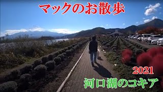 Lake Kawaguchi and Mt,Fuji