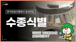 더 정확한 수종을 알고 싶다면, 현미경을 이용한 수종식별 방법