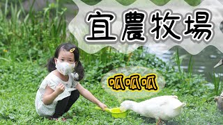 宜蘭親子景點 宜農牧場 | 有雞、鴨、羊、豬、魚、天竺鼠、鸚鵡等動物可以餵食，門票可以抵這些動物們吃的牧草跟飼料，還可以再換一瓶新鮮的羊乳 | 姐弟倆兒時記趣 Vlog