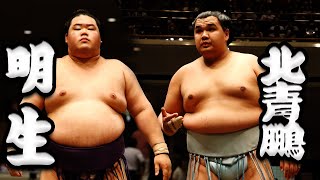 大相撲　明生ー北青鵬＜令和５年五月場所１０日目＞SUMO