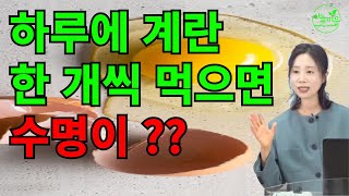 하루에 계란 한 개씩 먹으면 수명이 ?? [하늘마을 힐링센터 유소영 원장]