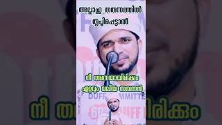 ഉള്ളത് കൊണ്ട് തൃപ്തിപ്പെട്ടാൽ നീ തന്നെ വലിയ സമ്പന്നൻ|Mohammed Anas Amani|#islamicspeechmalayalam