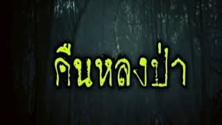 เรื่องลี้ลับในป่า คืนหลงป่า