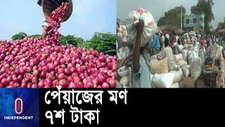 পেঁয়াজের দাম মনে দুহাজার থেকে ৭শ টাকায় নেমে আসায় ক্ষুদ্ধ চাষীরা || Onion || Farmer