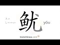 how to write 鱿 yóu – cuttlefish – stroke order radical examples and spoken audio