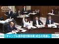 「ギャンブル依存症対策法案」参院の委員会で可決 18 07 05