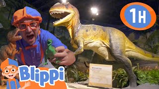 Blippi Visits Dinosaur Exhibition  | Animals for Kids | Animal Cartoons | Learn about Animals