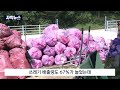 자막뉴스 피서 명당 대관령.. 차박 캠핑족으로 몸살 2024. 8. 14 원주mbc