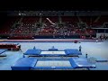 ZHUK Artsiom (BLR) - 2017 Trampoline Worlds, Sofia (BUL) - Qualification Trampoline Routine 1